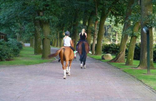 Große Ferienwohnung, auf Bauernhof mit Ponys und Pferden, ländlich und ruhig, Nähe Dümmer See - Photo 22