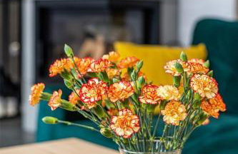 Oaza Bieszkowice - Foto 22