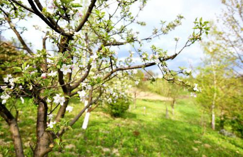 Kuća za odmor Grunt - Foto 16