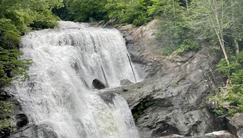 Bear Track on Tellico River - Foto 2