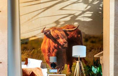 Krovacja - całoroczne domki w Puszczy Noteckiej - Foto 18