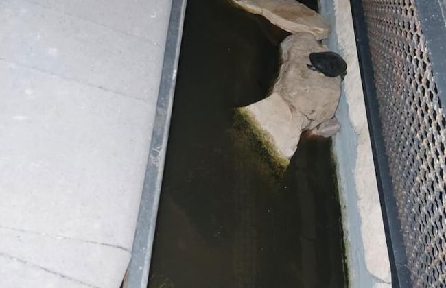 Blu Etna Casa Vacanze - Foto 70