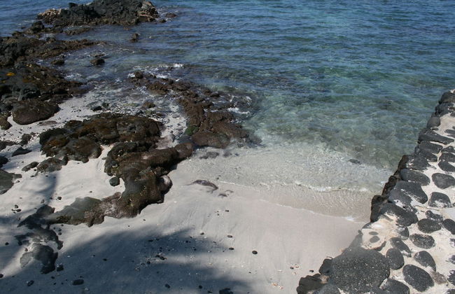 Alii Point #15 - Almost Oceanfront 3 Bedroom Home by RedAwning - Foto 20