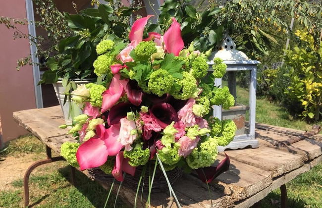 Agriturismo Monte a Pescia - Foto 25