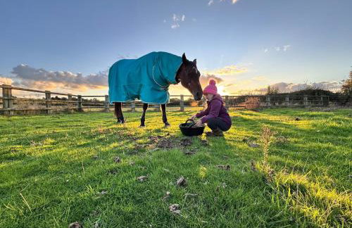 Boutique Countryside Studio with Farm Animals - Foto 15