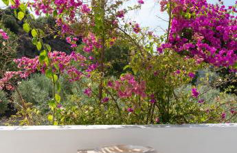 Haus Risos Next Generation - Foto 38