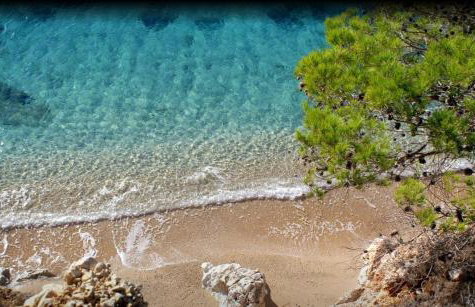 Apartmani Zaninović - Foto 2