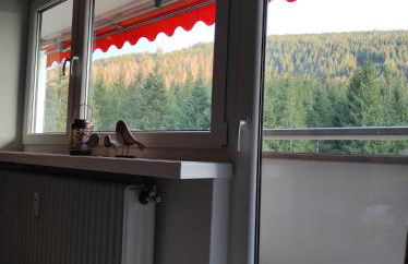 Ferienwohnung Vogelnest im Schwarzwald - Foto 15