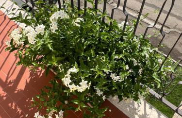 Casa vacanze l’orchidea - Foto 11