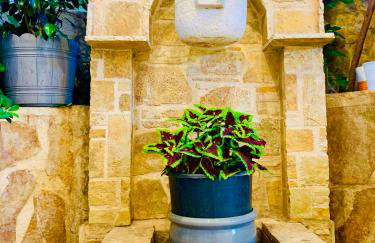 Apartments Tina FREE transfer from-to the airport - Foto 25