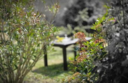 a casa di Gabri - Foto 68