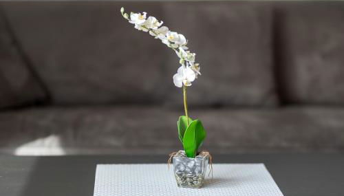 Ferienwohnung Eva - Foto 5