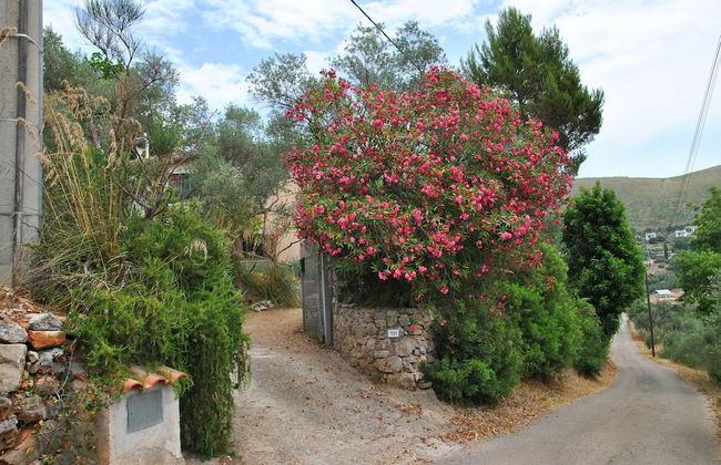 La Casa Dell'artista Between art and Nature - Foto 18