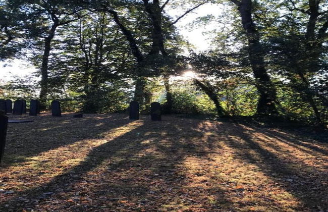 Tranquil Retreat in Appelscha - Foto 33