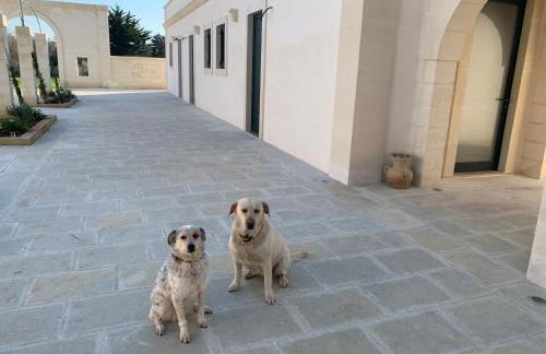 BioAgriturismo Messer Gesualdo - Foto 40