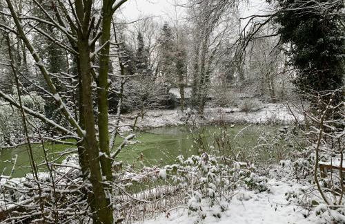 Gästewohnung Hardinghaus am Teich - Foto 5