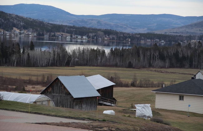 Les Trois Mentors Ghandi, Mandela, Luther King - Foto 39