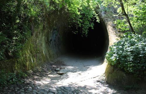 Domki Morskie - Foto 31