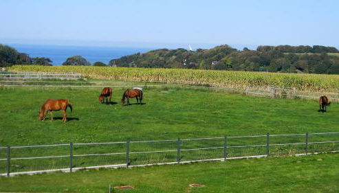 Gite etretat - Foto 3