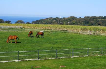Gite etretat - Foto 3