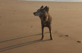 Folkestone harbour view - Foto 31