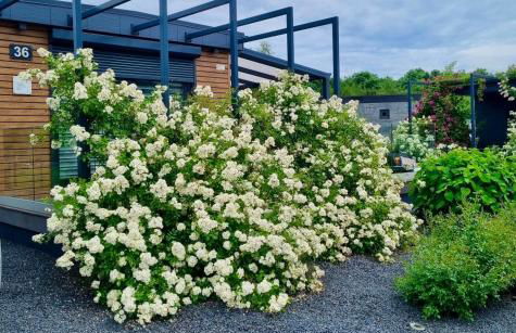 Seepark Cox ️️️️ - Foto 1