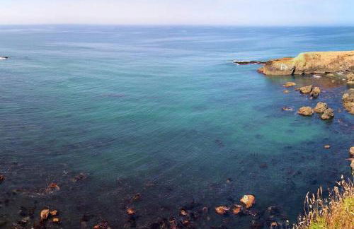 Dolphin by OceanviewHotTubs Oceanfront Shelter Cove Tesla - Foto 21