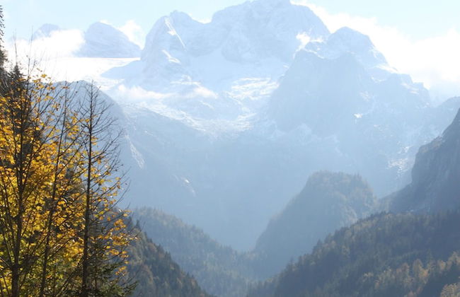 Mühlradl Apartments - Foto 57