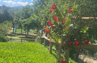 Casa da nascente douro - Foto 36