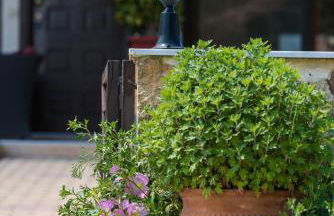 Meltemi Villa - Foto 40