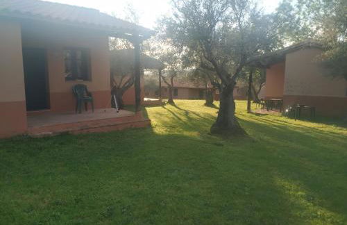 Aldea Vetonia Alojamientos con Encanto Parque de Mascotas-NO SE ACEPTAN EN JULIO Y AGOSTO- Varias zonas infantiles y deportivas "encuentranos y reserva para verano" - Foto 63