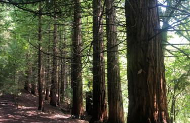 Valmar Resort Apartment - Photo 6