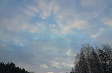 GREEN HOUSE - Foto 16