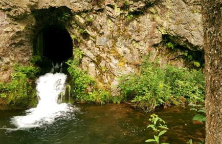 Ferienhaus Am Kirchberg - Foto 42