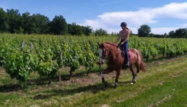 le gite de léonard - Foto 4