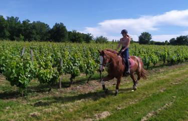 le gite de léonard - Foto 4