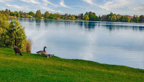 Gemütliche Ferienwohnung - Inheidener See - Foto 4