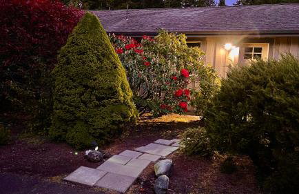 The Redwood Guesthouse at the Floras Lake Getaway - Foto 3