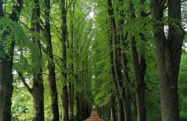 Ferienwohnungen an der Hufeland-Therme - Foto 28