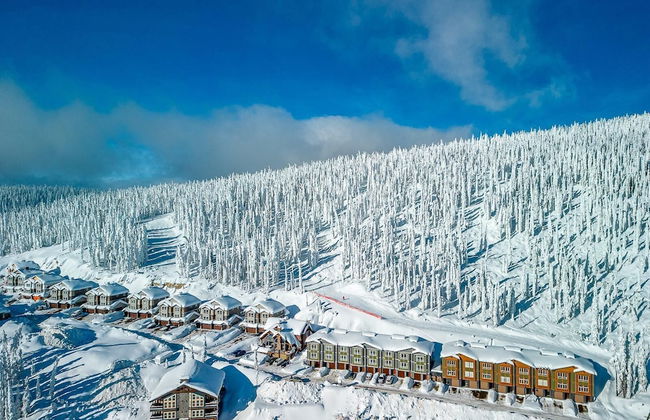 Grizzly Ridge Getaway Brand New, Hot Tub, Sleeps 11 - Photo 56