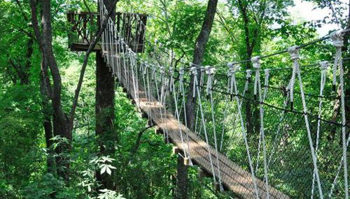 Serene and Modern 5 Location, Queen Bed, Parking - Foto 3