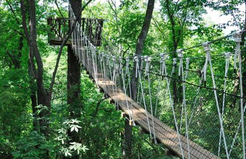 Serene and Modern 5 Location, Queen Bed, Parking - Foto 3