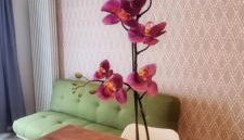 Casa Barcelli Sport & Family Apartments - Photo 2