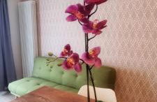 Casa Barcelli Sport & Family Apartments - Photo 2