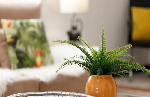 Villa Can Moya - Photo 37