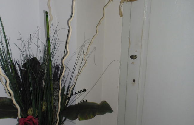 Apartments Casa Saina - Foto 2