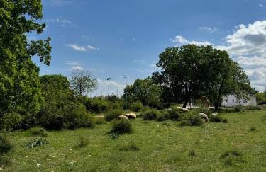 Barbie's House - Foto 15