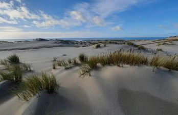 Maison sur le Bassin d'Arcachon - Foto 26