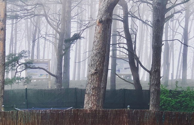 Pelikan Resort - Photo 17