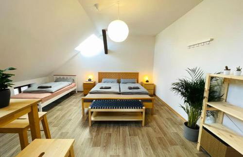 P6 - Familienwohnung am Park und Saale - Foto 6